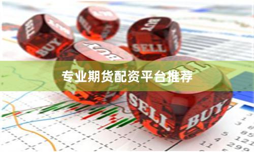 专业期货配资平台推荐
