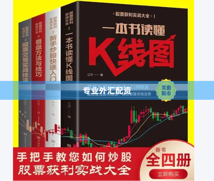 专业外汇配资