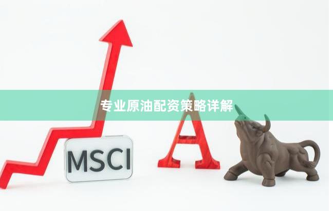 专业原油配资策略详解